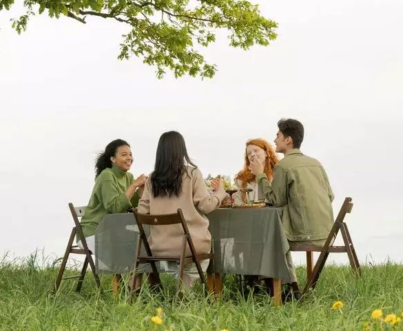 Symbolbild für einen Renaturierungsrat - Vier Menschen sitzen auf einer Wiese und diskutieren